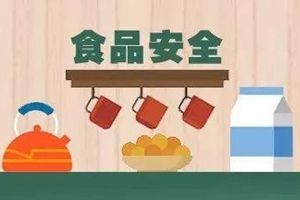 國務(wù)院食品安全辦有關(guān)負責人就2019年食品安全重點(diǎn)工作安排答記者問(wèn)